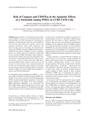 Role of Caspases and CD95/Fas in the Apoptotic Effects of a Nucleotide Analog PMEG in CCRF-CEM Cells