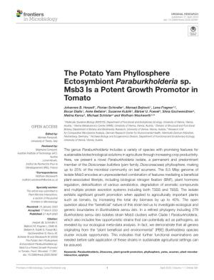 The Potato Yam Phyllosphere Ectosymbiont Paraburkholderia Sp