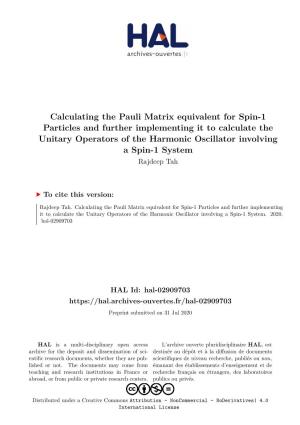 Calculating the Pauli Matrix Equivalent for Spin-1 Particles and Further