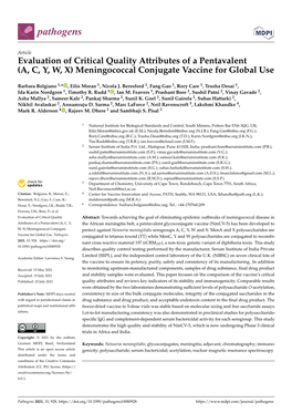 (A, C, Y, W, X) Meningococcal Conjugate Vaccine for Global Use