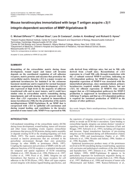 Integrin-Dependent Secretion of MMP-9/Gelatinase B