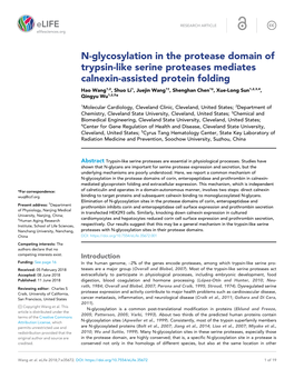 N-Glycosylation in the Protease Domain of Trypsin-Like Serine Proteases Mediates Calnexin-Assisted Protein Folding