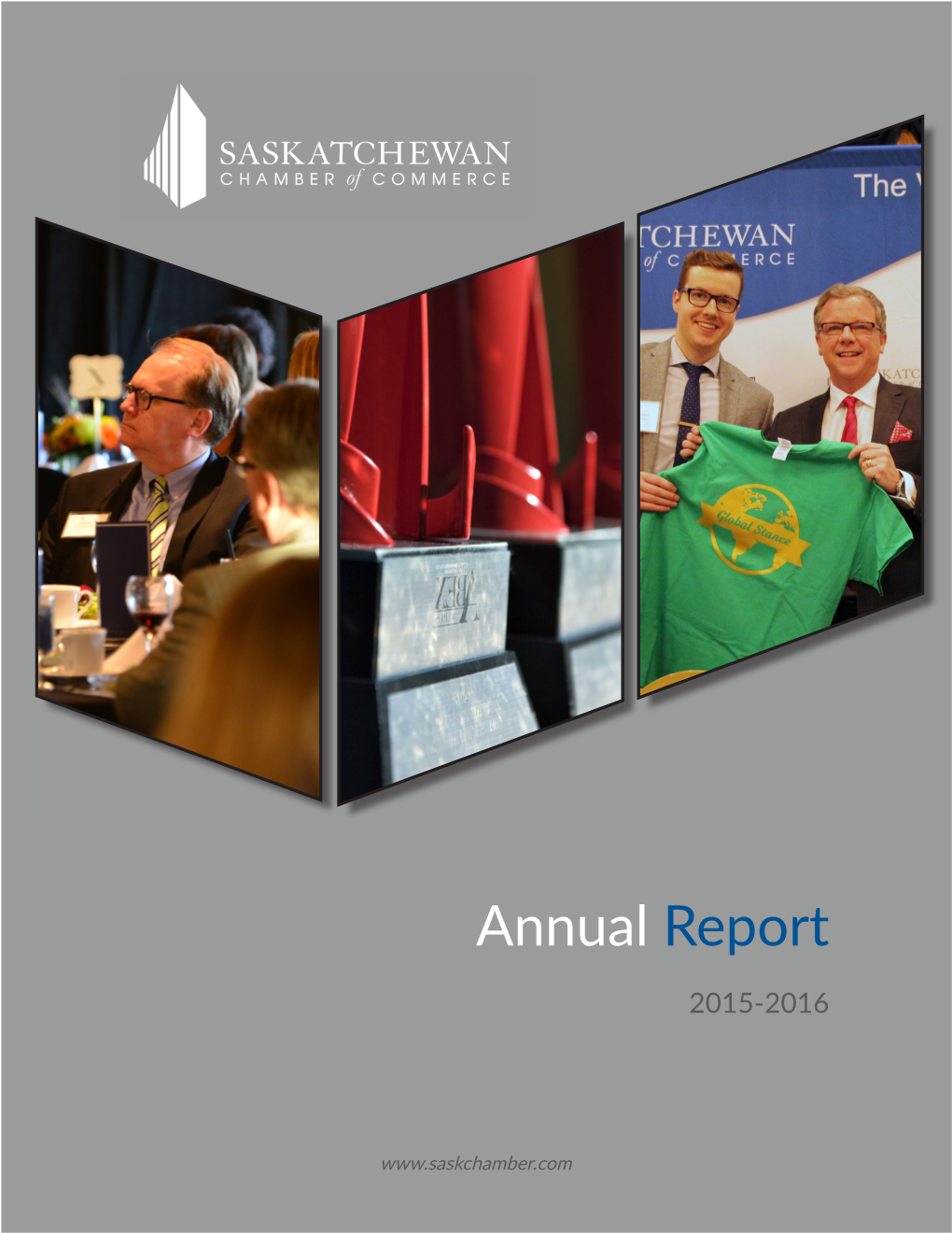 2015 Annual Report