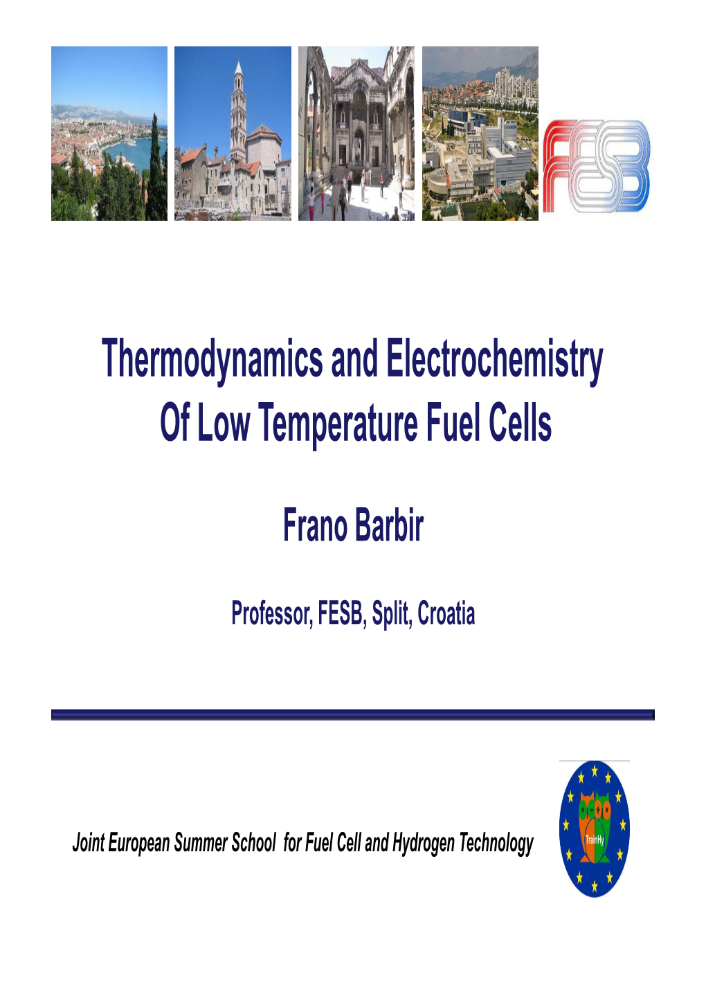 Thermodynamics and Electrochemistry of Low Temperature Fuel Cells