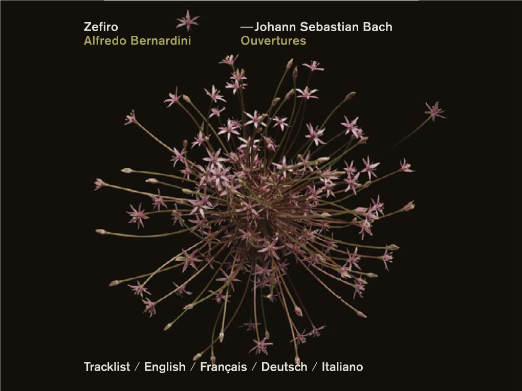 Zefiro Alfredo Bernardini −Johann Sebastian Bach