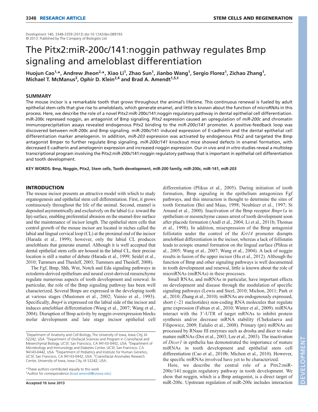 The Pitx2:Mir-200C/141:Noggin Pathway Regulates Bmp Signaling