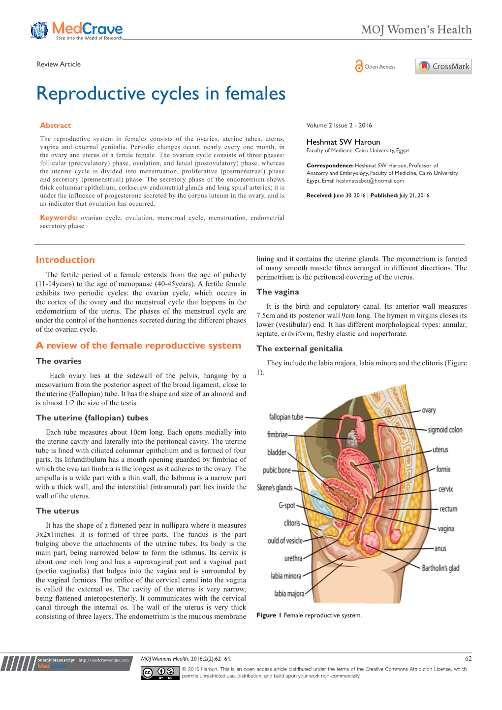 Reproductive Cycles in Females