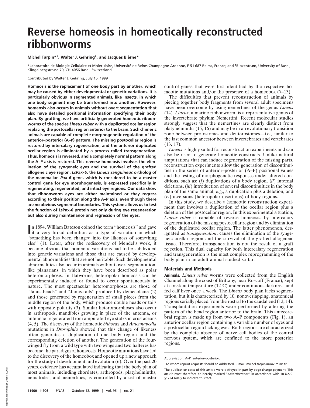 Reverse Homeosis in Homeotically Reconstructed Ribbonworms