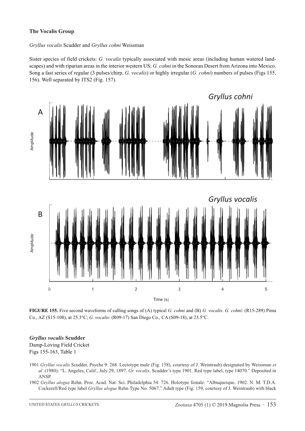 The Vocalis Group Gryllus Vocalis Scudder