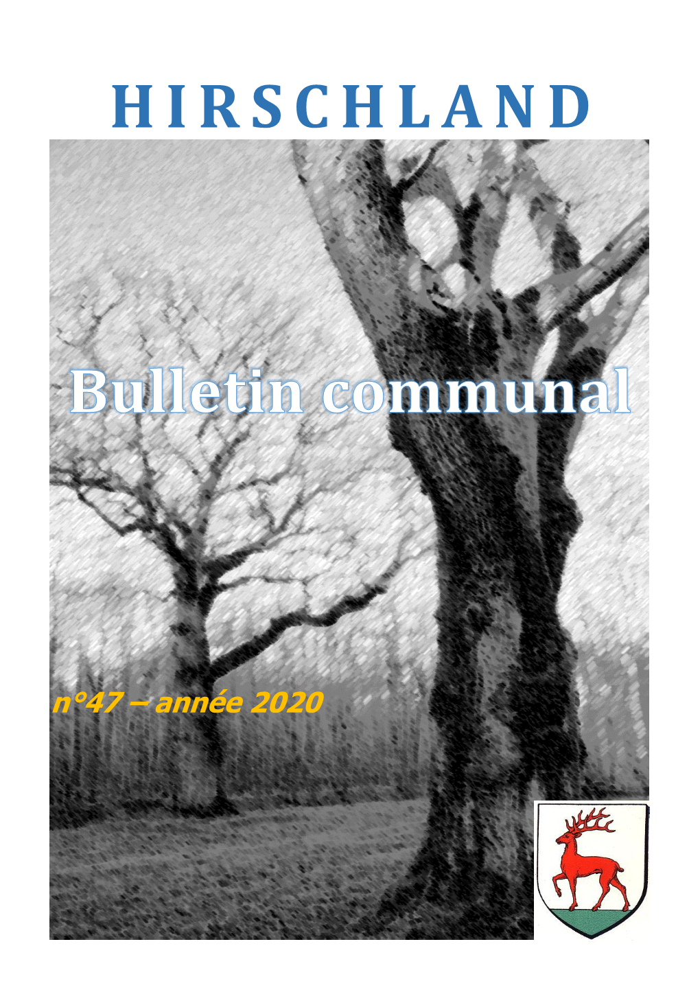 Bulletin Communal 2020