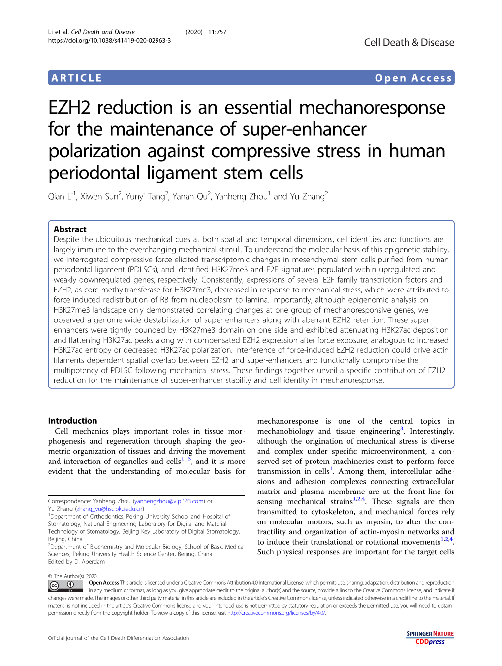 EZH2 Reduction Is an Essential Mechanoresponse for The