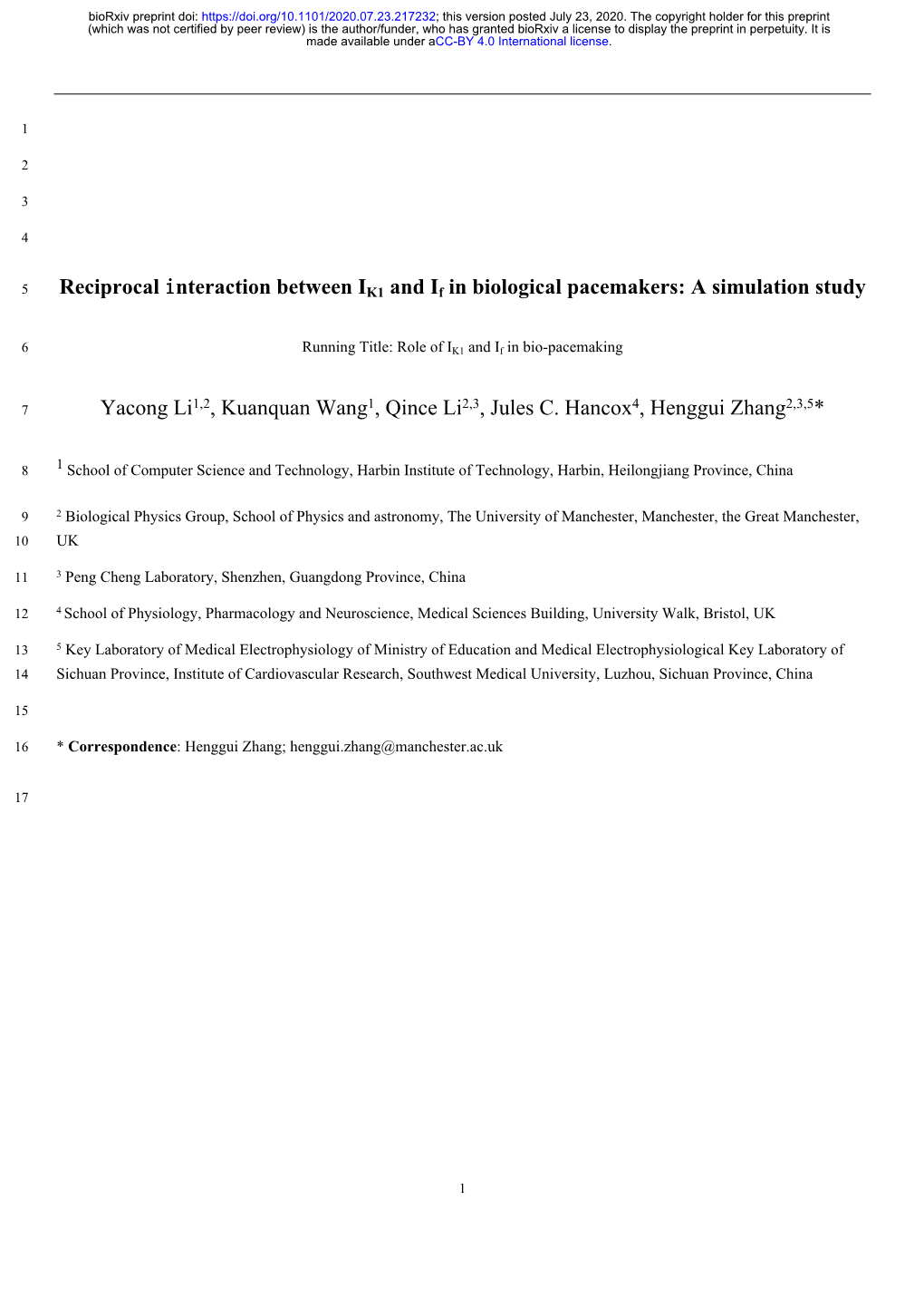 Reciprocal Interaction Between IK1 and If in Biological Pacemakers: a Simulation Study