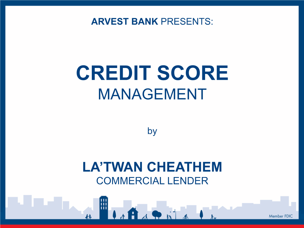 Credit Score Management