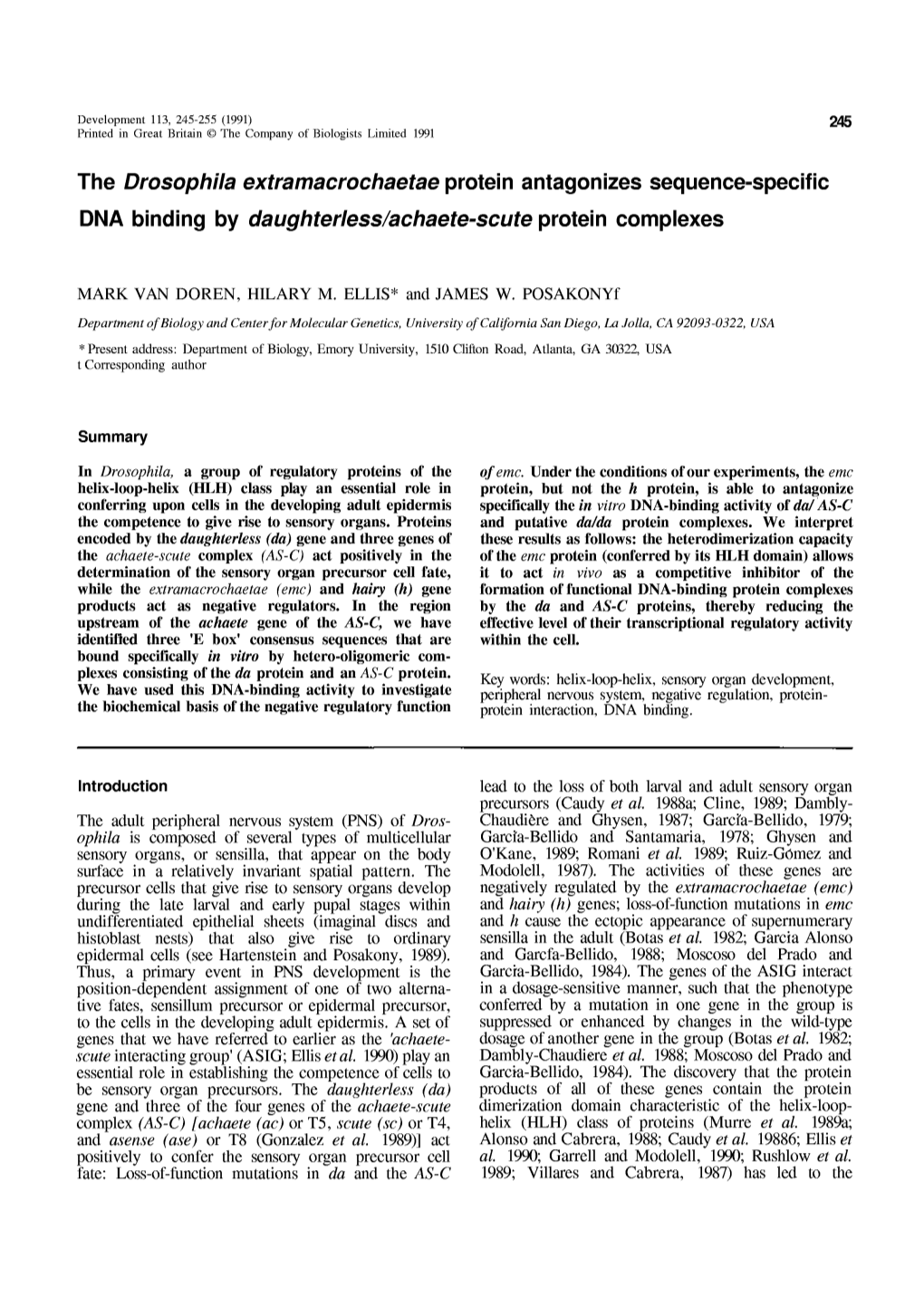 The Drosophila Extramacrochaetae Protein Antagonizes Sequence-Specific DNA Binding by Daughterless/Achaete-Scute Protein Complexes