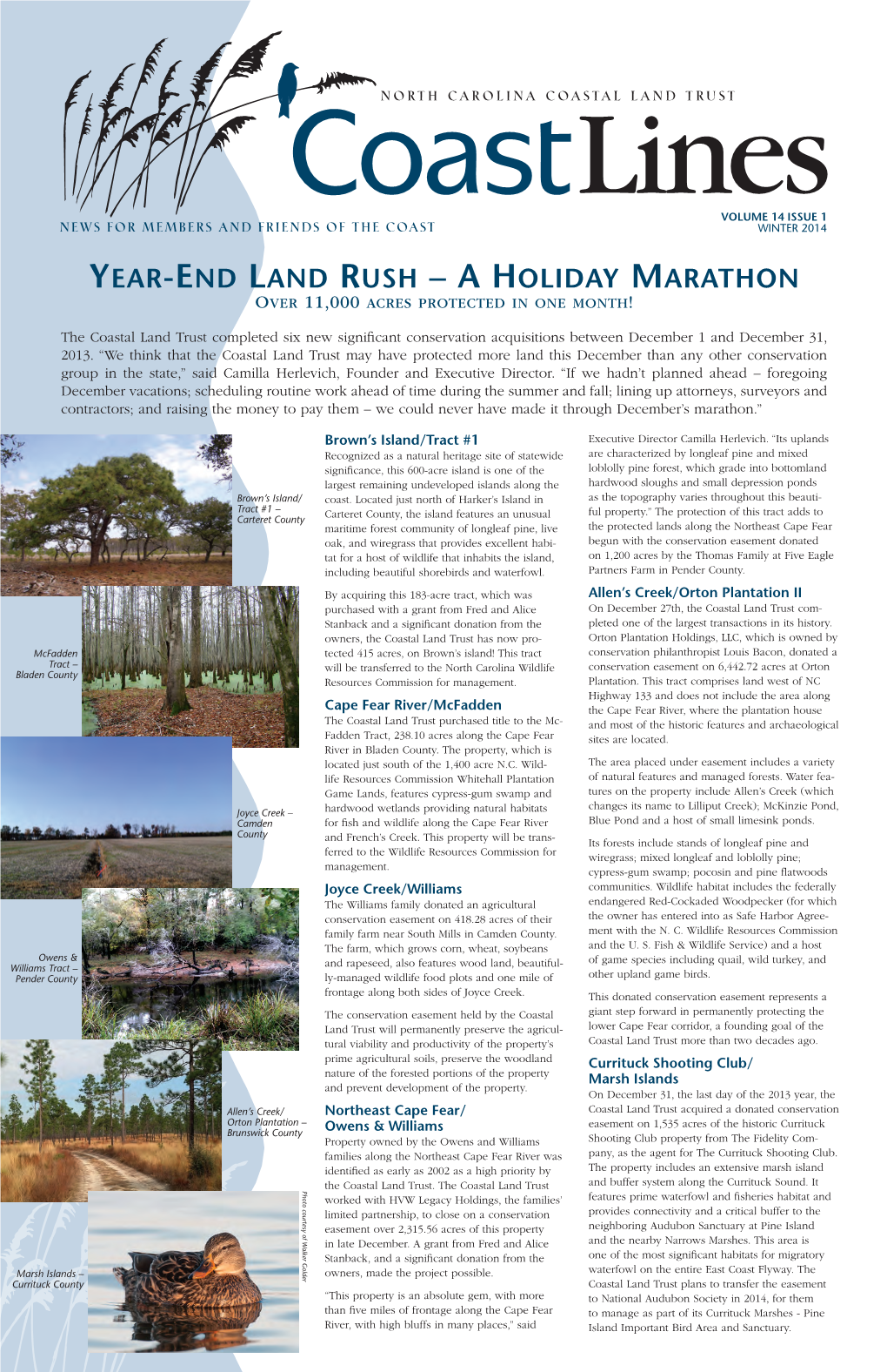 Year-End Land Rush – a Holiday Marathon Over 11,000 Acres Protected in One Month!