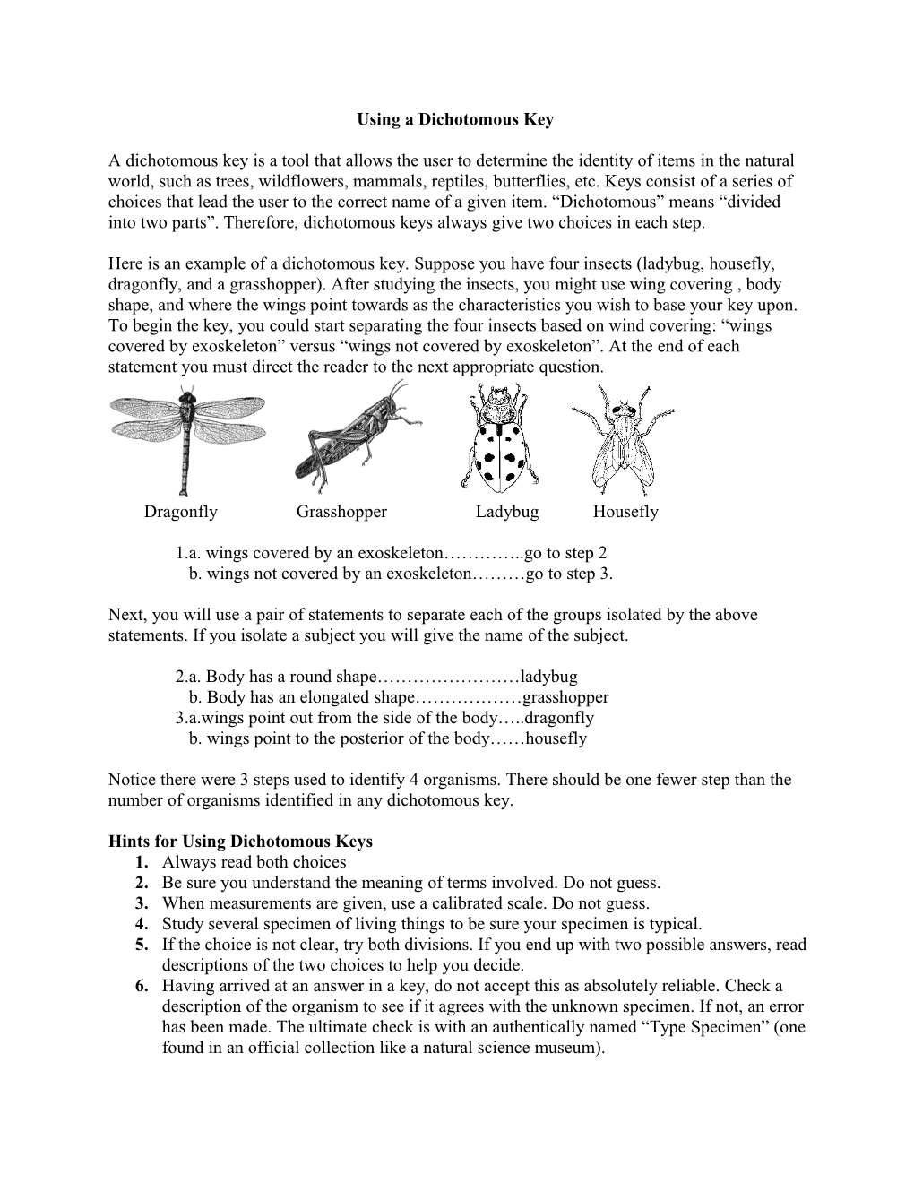 Creating a Dichotomous Key