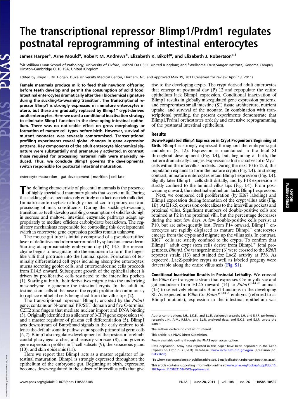 The Transcriptional Repressor Blimp1/Prdm1 Regulates Postnatal Reprogramming of Intestinal Enterocytes