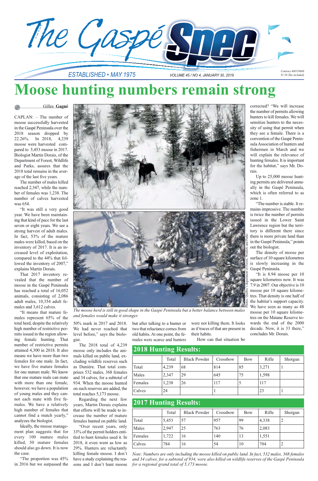 Moose Hunting Numbers Remain Strong