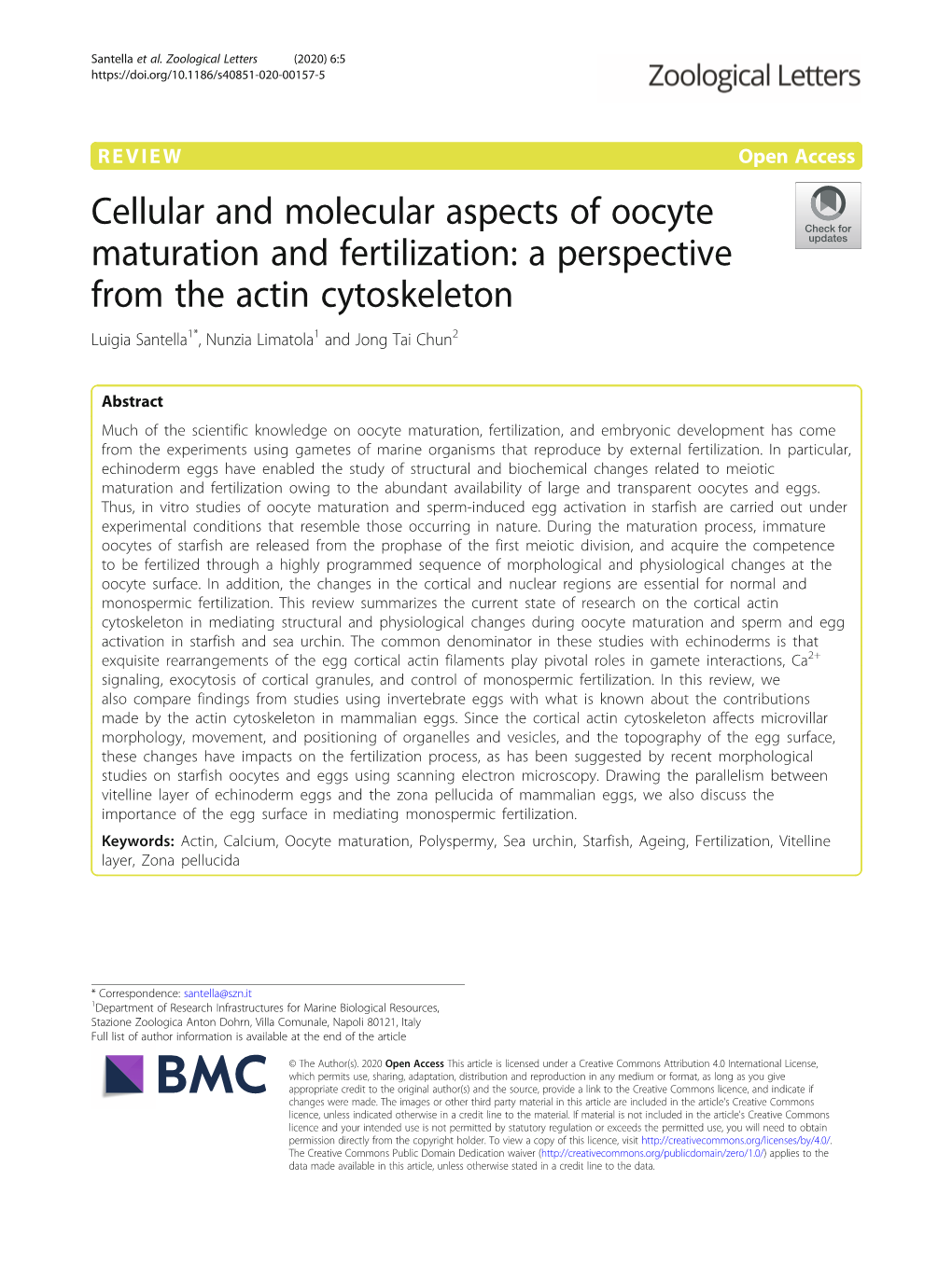 Cellular and Molecular Aspects of Oocyte