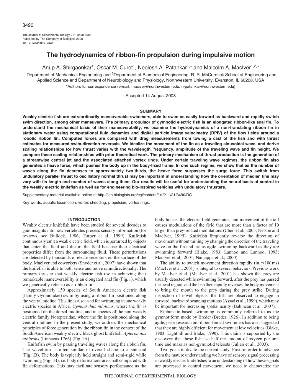 The Hydrodynamics of Ribbon-Fin Propulsion During Impulsive Motion