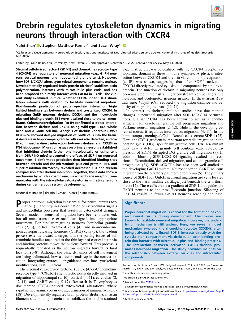 Drebrin Regulates Cytoskeleton Dynamics in Migrating Neurons Through Interaction with CXCR4