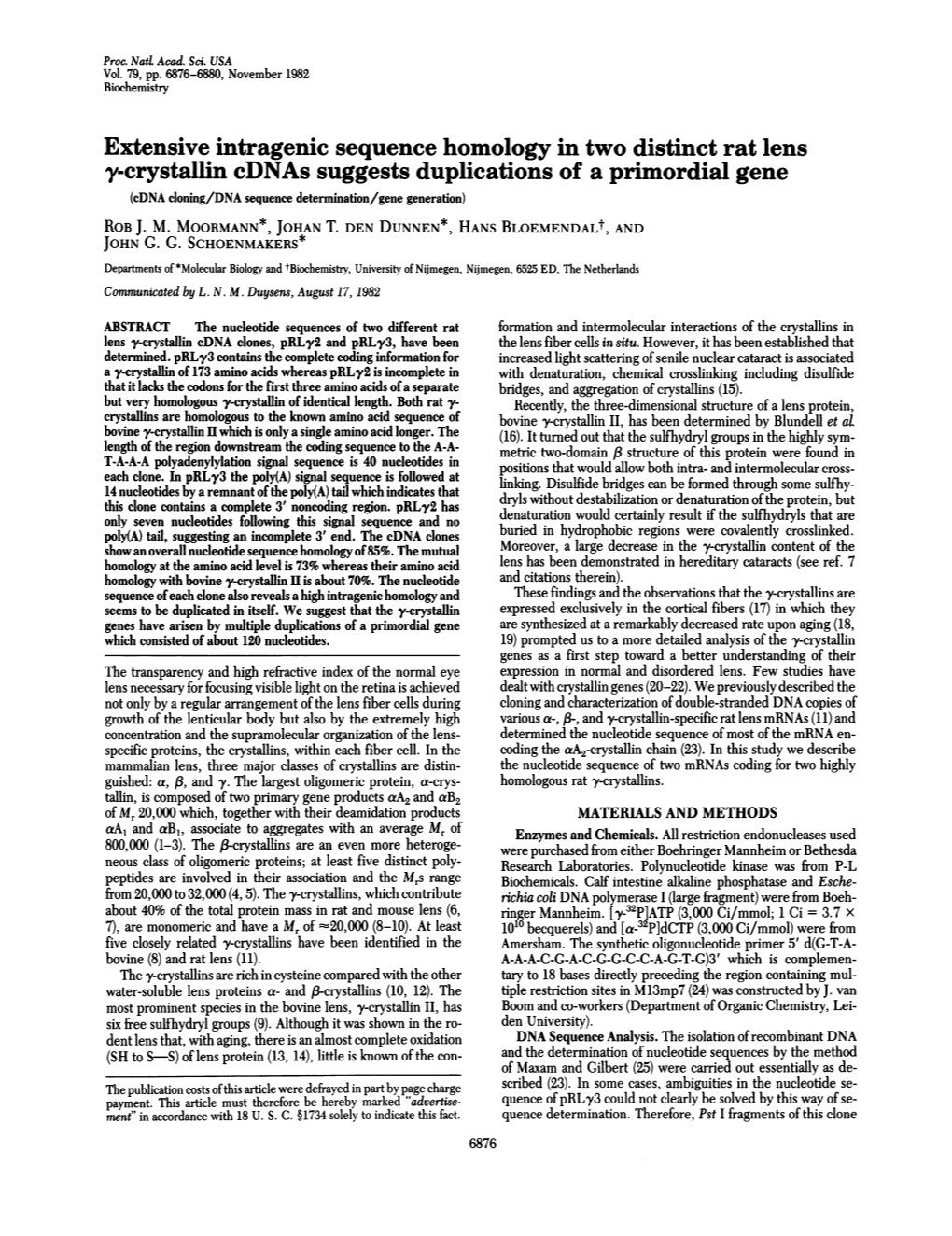 Extensive Intragenic Sequence Homology in Two Distinct Rat Lens Y