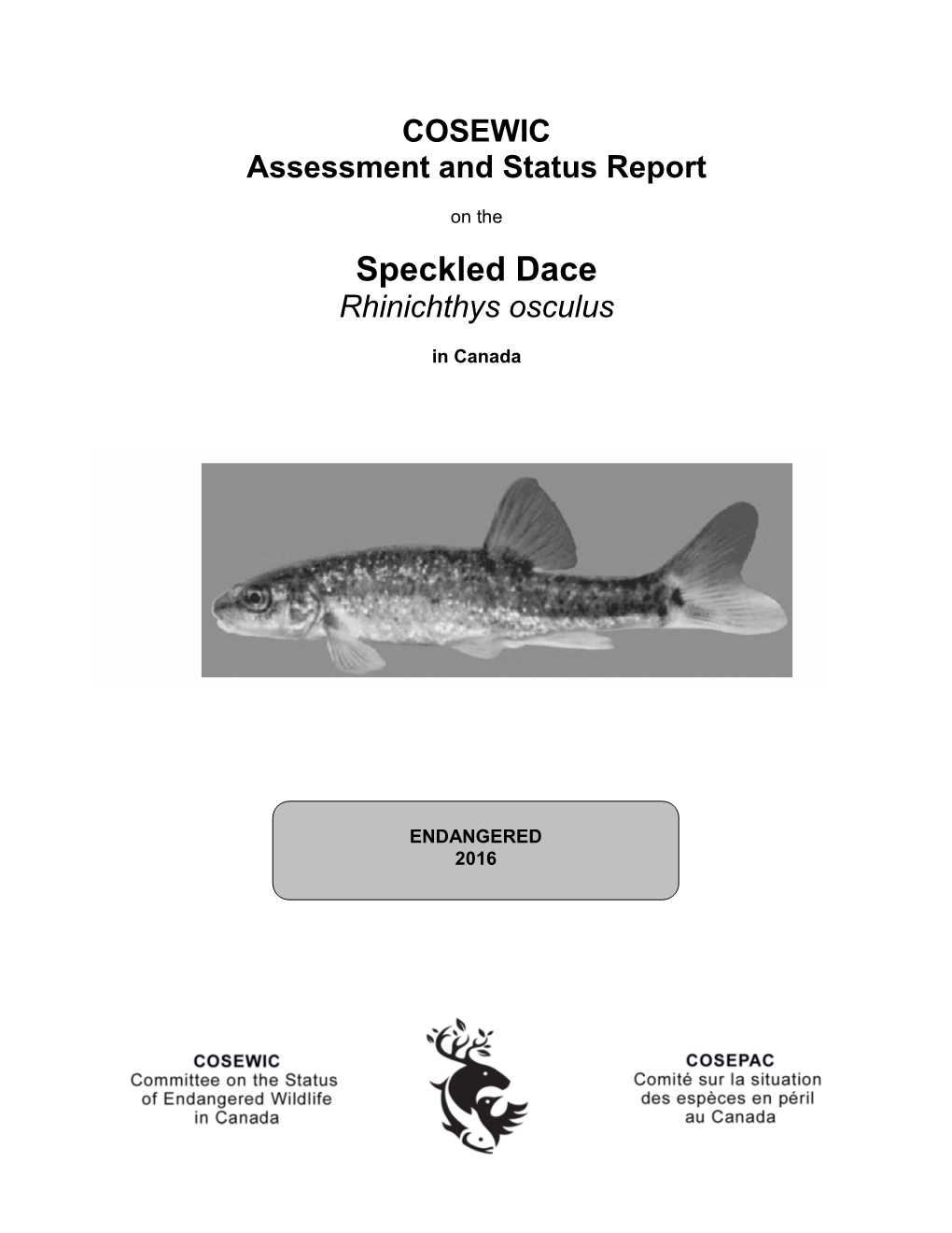 Speckled Dace, Rhinichthys Osculus, in Canada, Prepared Under Contract with Environment and Climate Change Canada