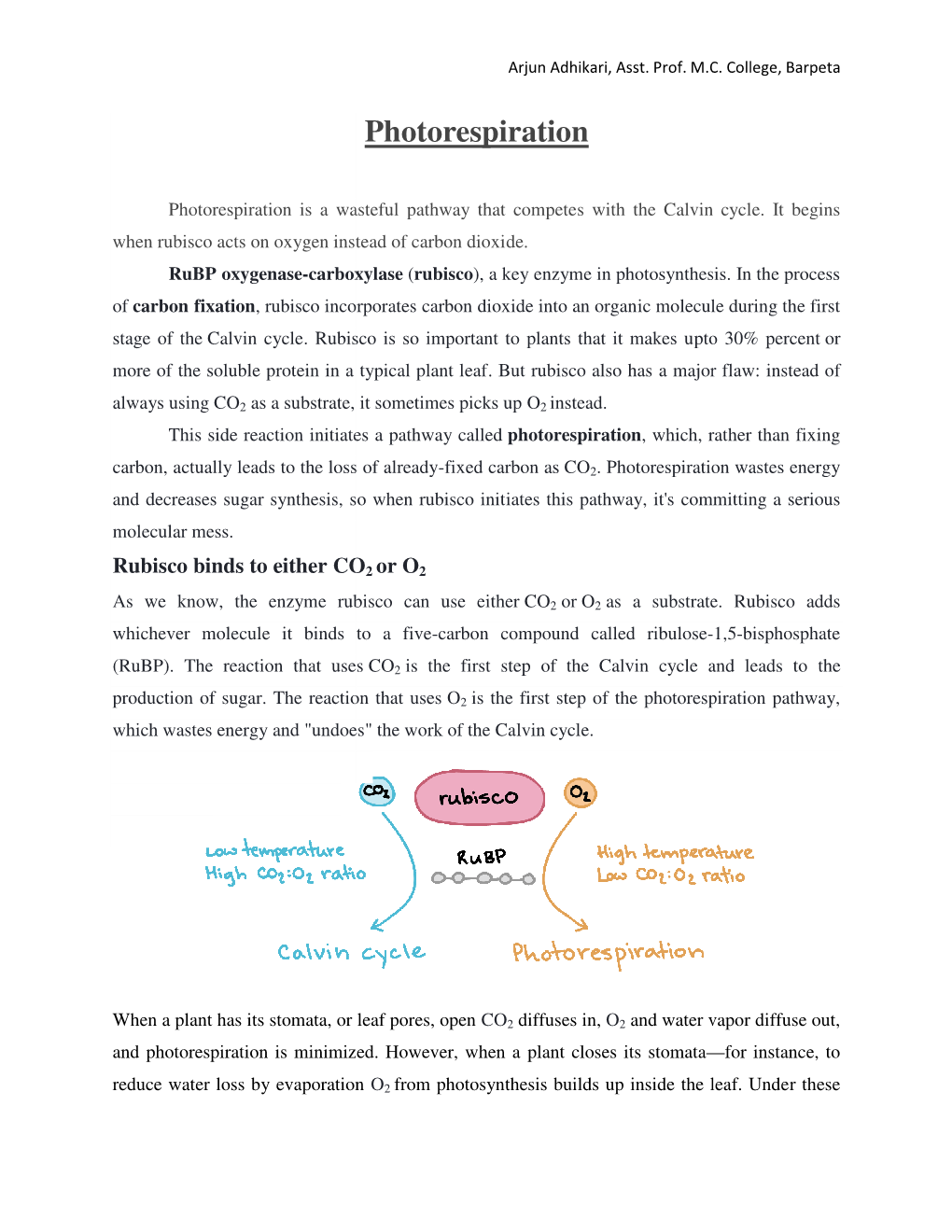 Photorespiration