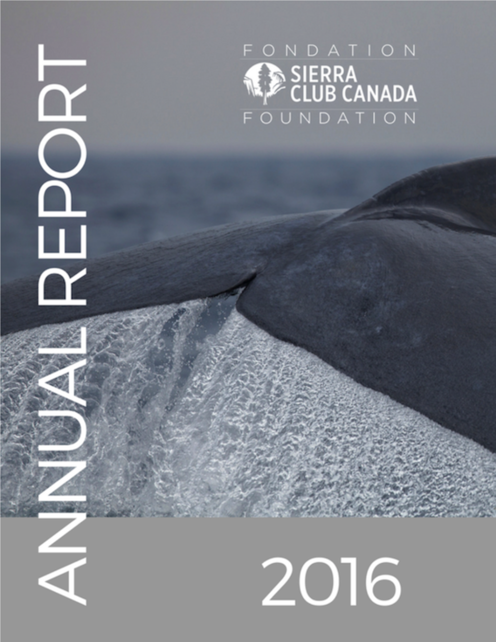 Annual Report