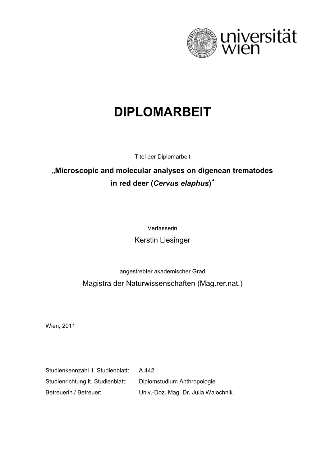 Diplomarbeit