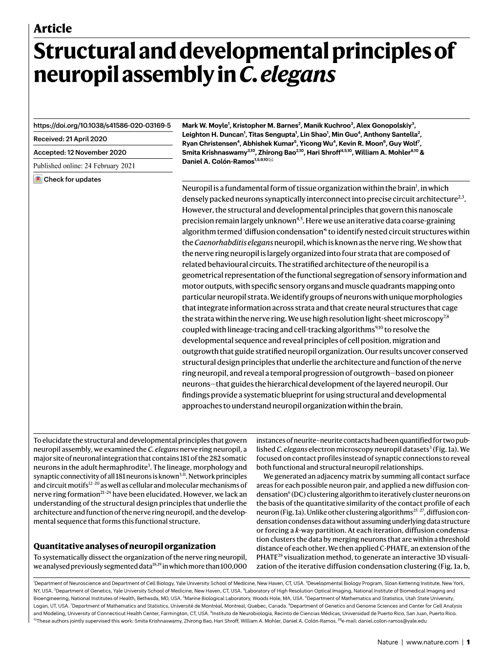 Structural and Developmental Principles of Neuropil Assembly in C