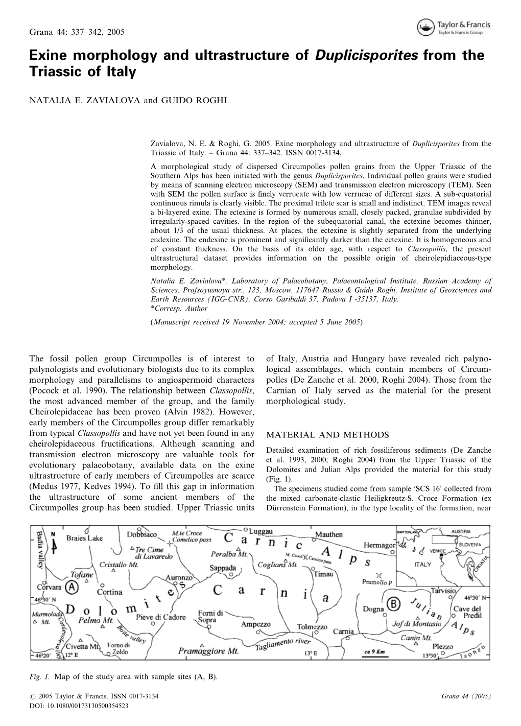 Exine Morphology and Ultrastructure of Duplicisporites from the Triassic of Italy