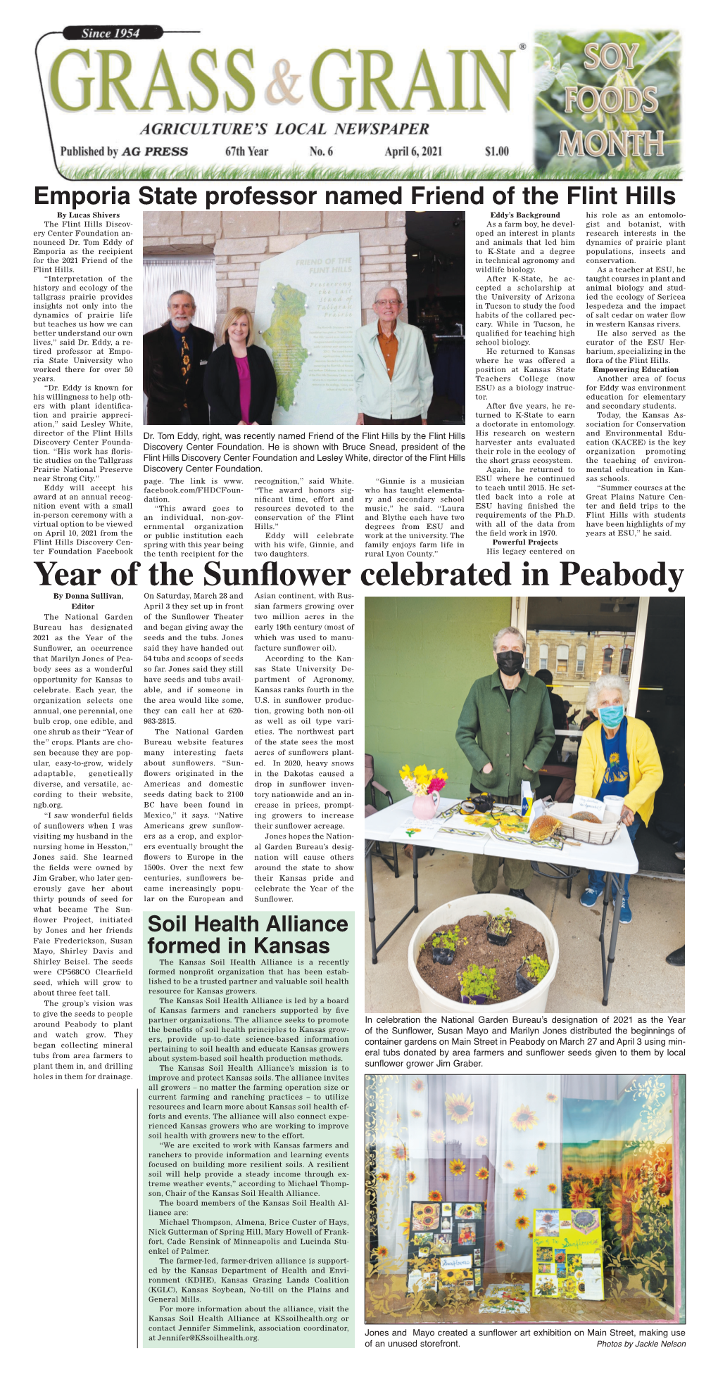 Year of the Sunflower Celebrated in Peabody