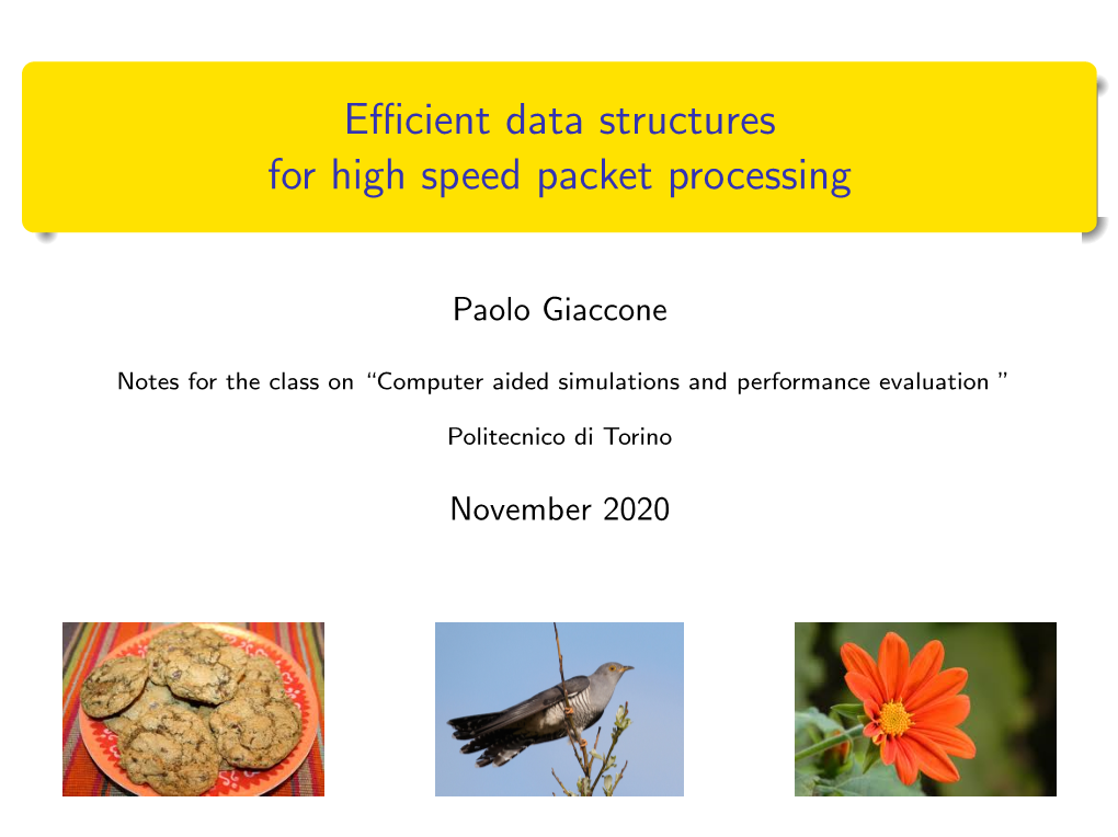 Efficient Data Structures for High Speed Packet Processing