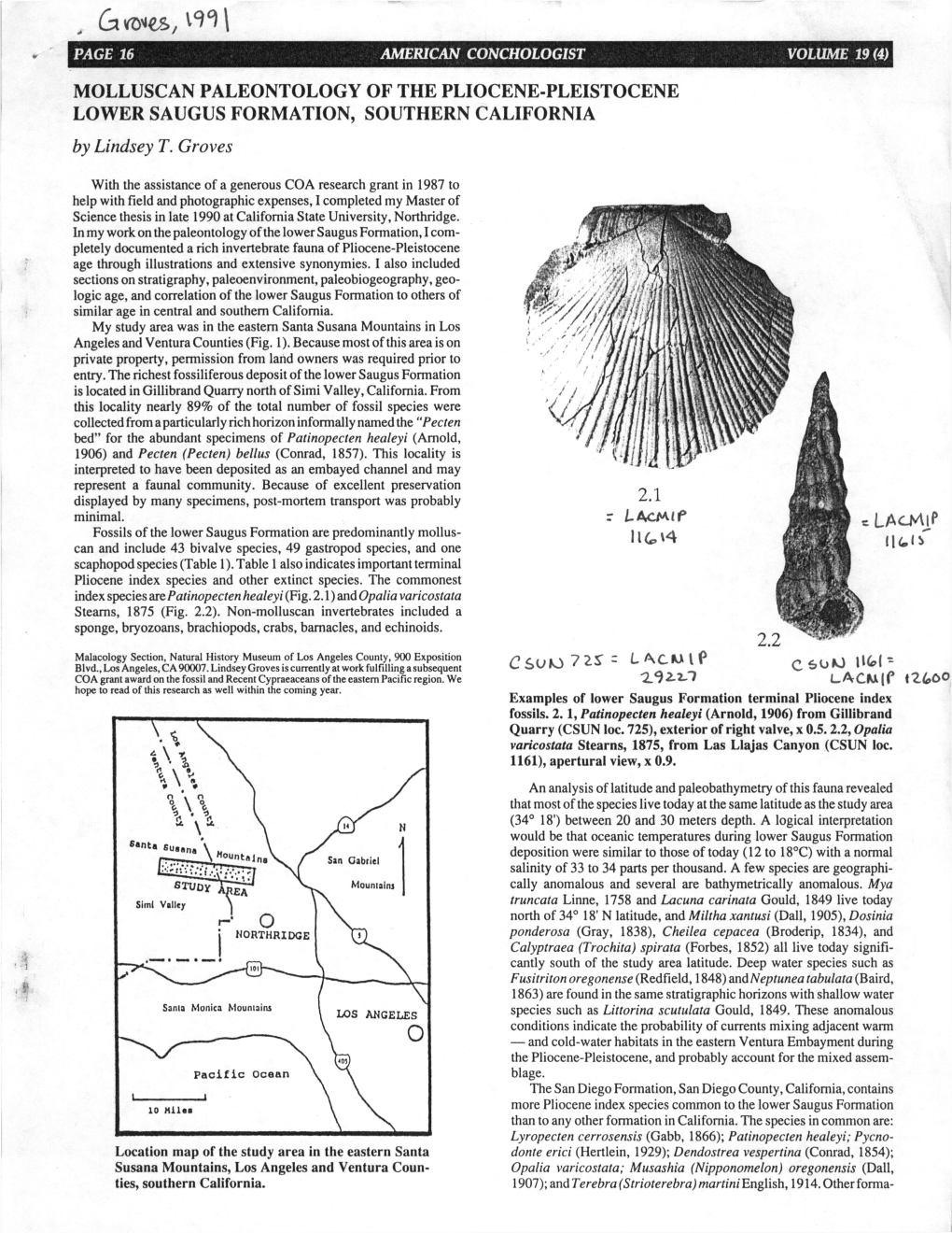 MOLLUSCAN PALEONTOLOGY of the PLIOCENE-PLEISTOCENE LOWER SAUGUS FORMATION, SOUTHERN CALIFORNIA by Lindsey T