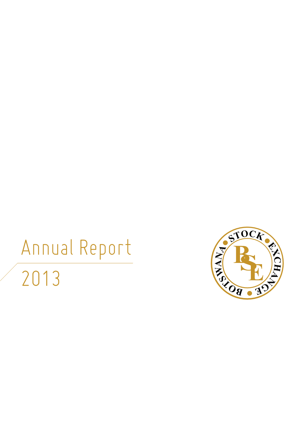 Annual Report 2013 2013 and Beyond Reaching New Heights