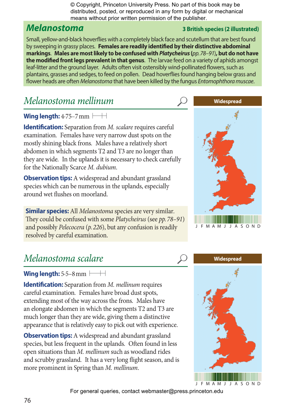 Britain's Hoverflies