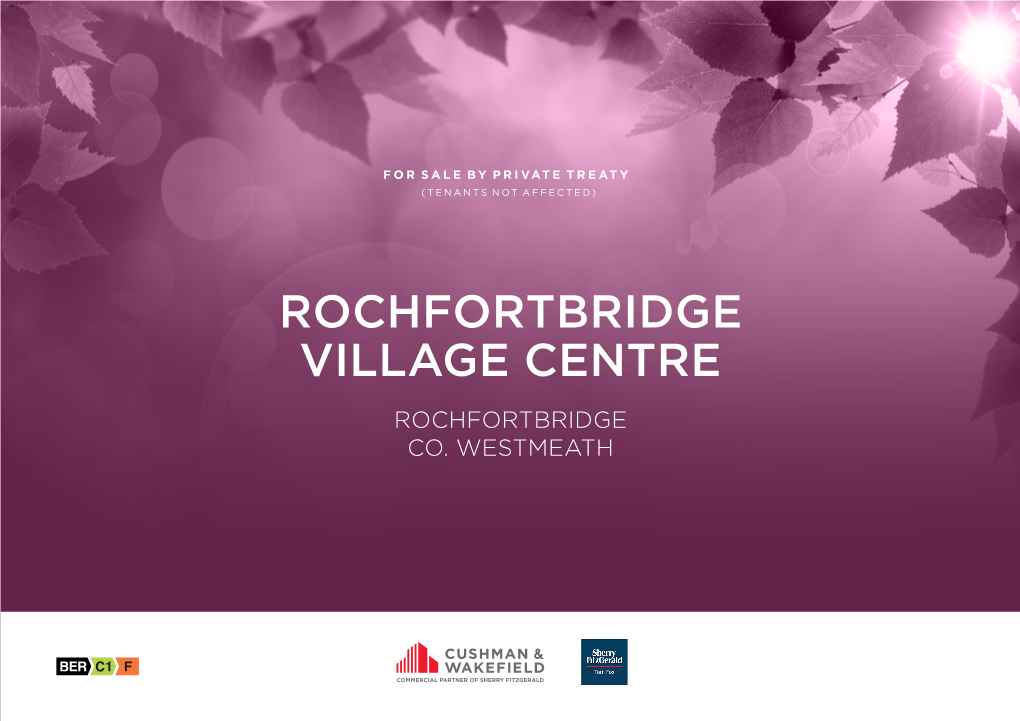 Rochfortbridge Village Centre