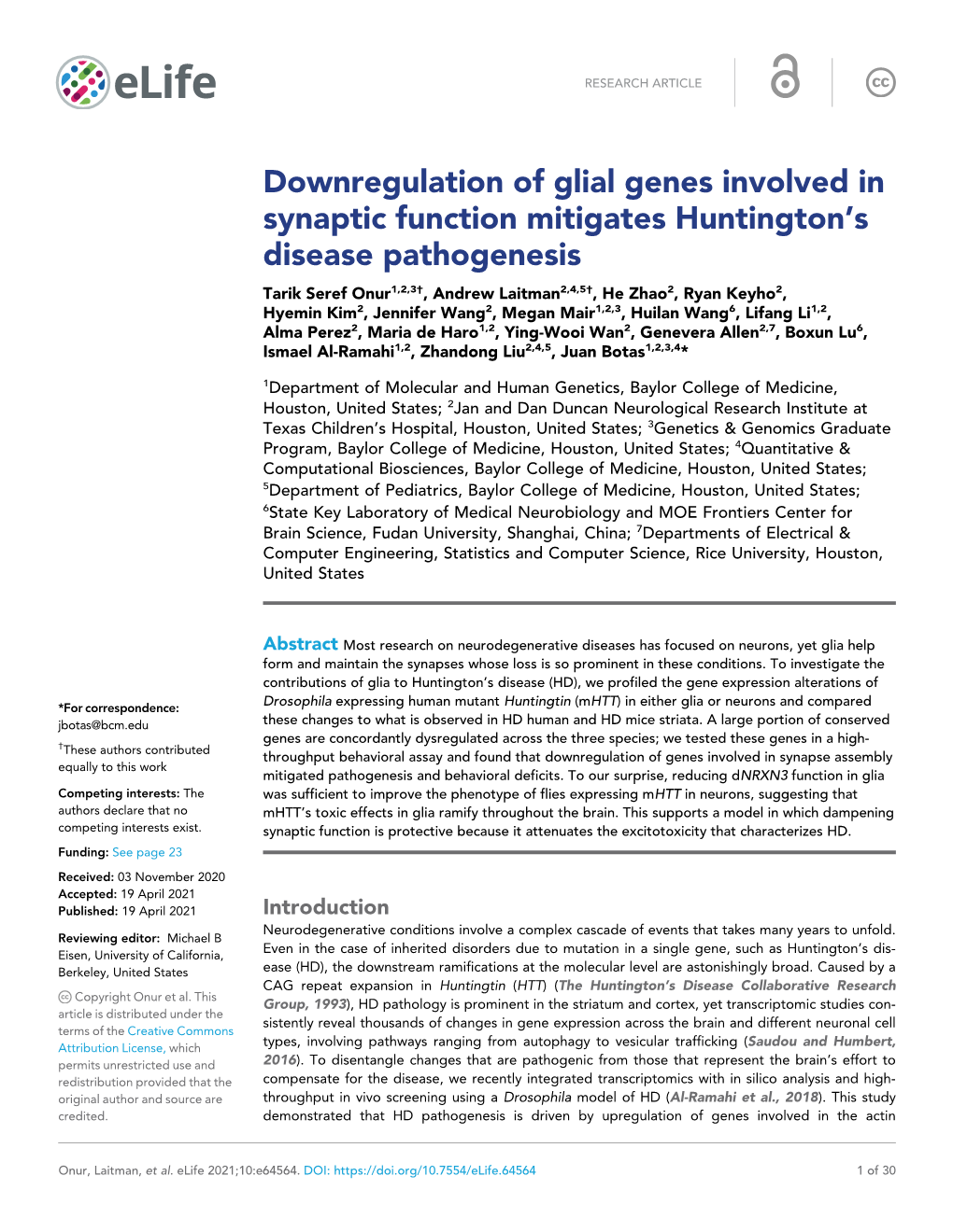 Downregulation of Glial Genes Involved in Synaptic Function