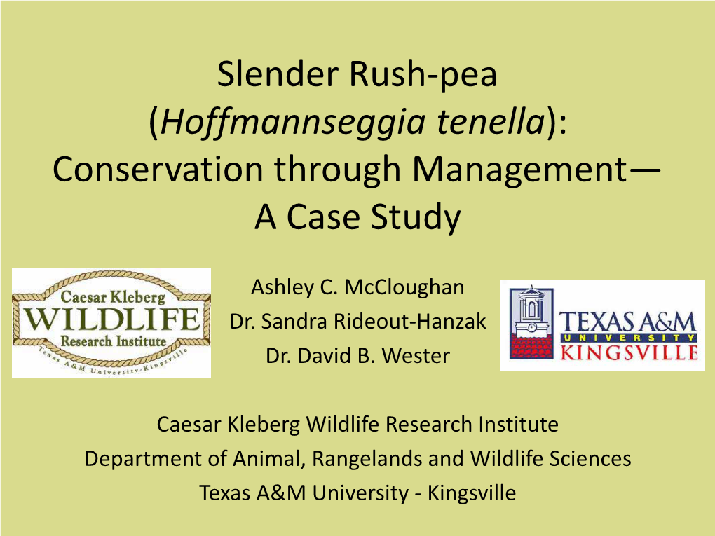 Slender Rush-Pea (Hoffmannseggia Tenella): Conservation Through Management— a Case Study
