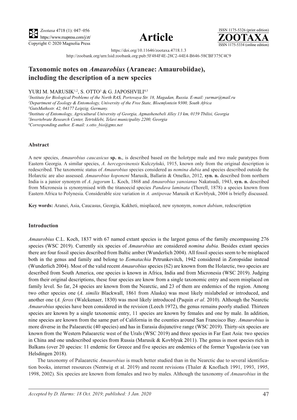 Taxonomic Notes on Amaurobius (Araneae: Amaurobiidae), Including the Description of a New Species