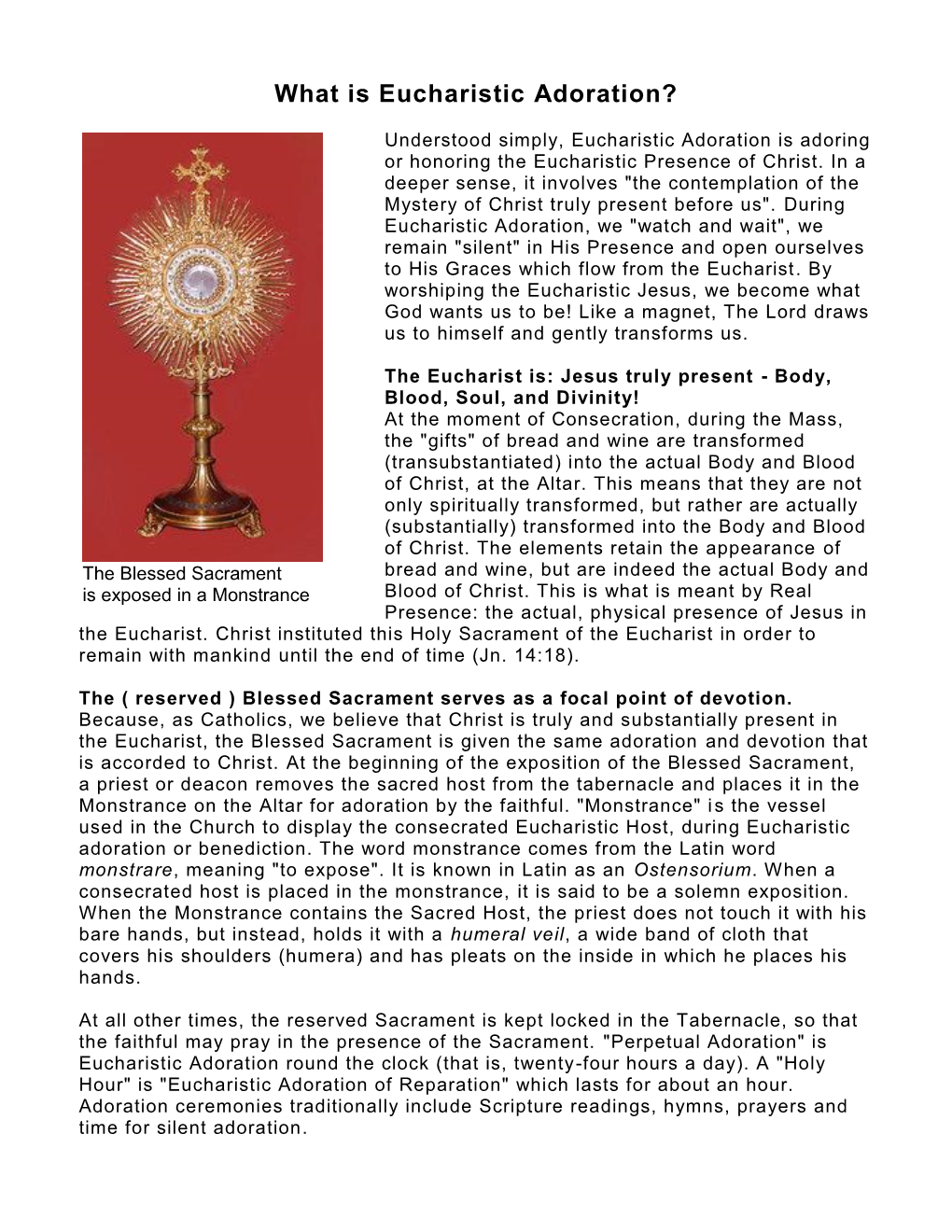 What Is Eucharistic Adoration?