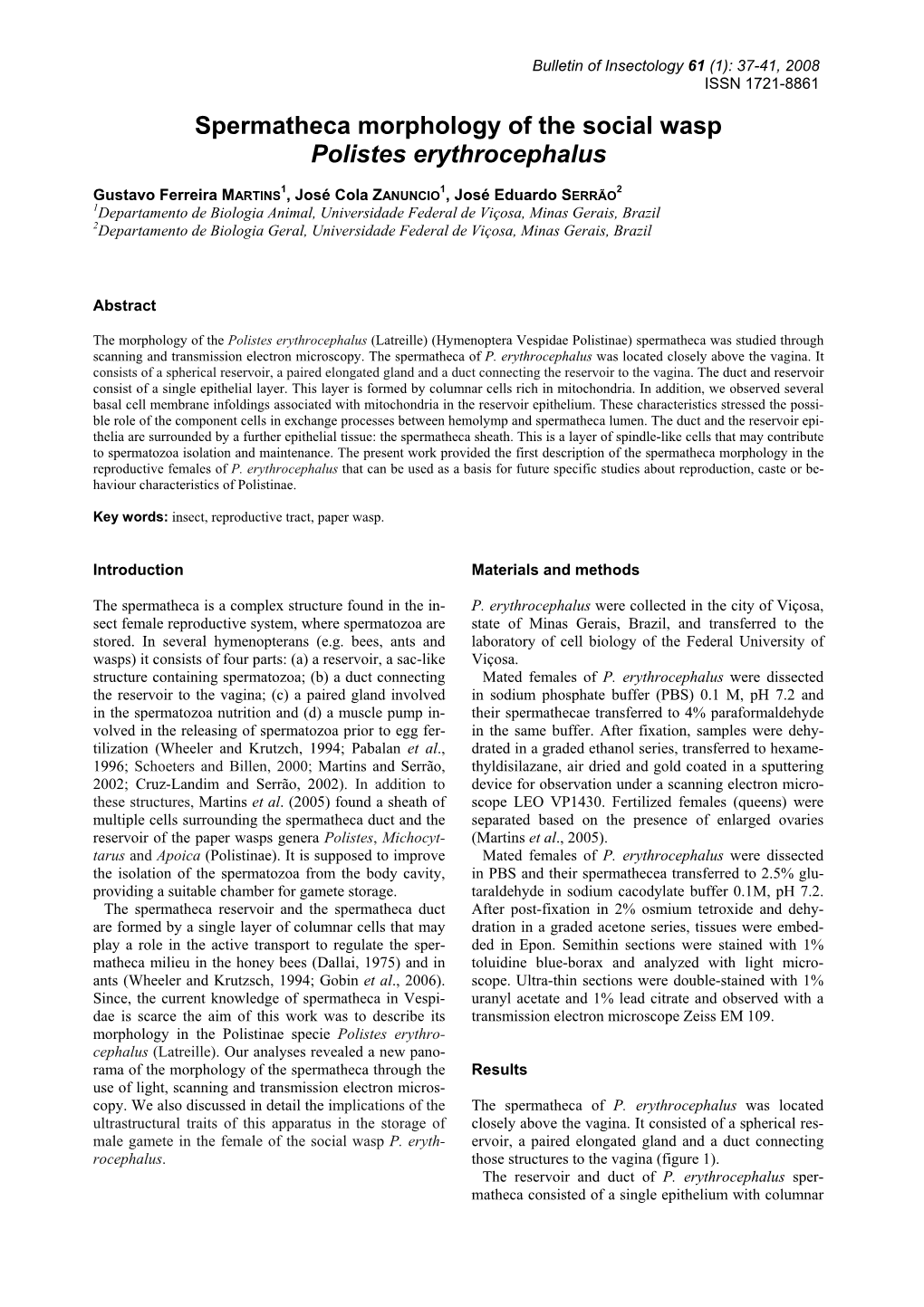 Spermatheca Morphology of the Social Wasp Polistes Erythrocephalus