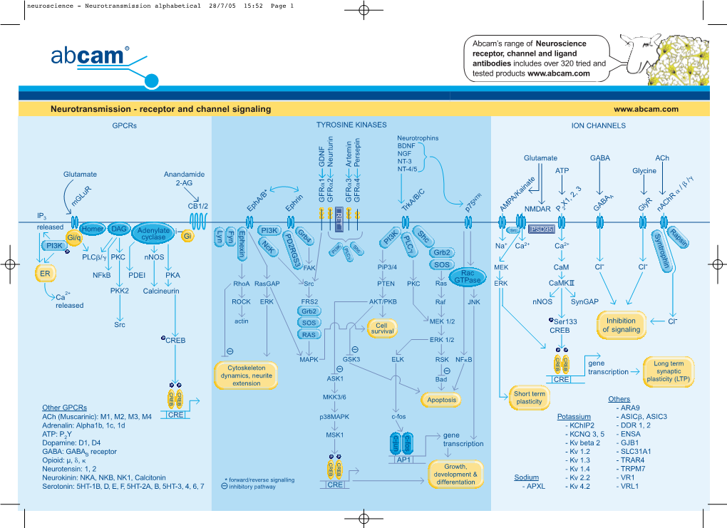 Neurotransmission Alphabetical 28/7/05 15:52 Page 1