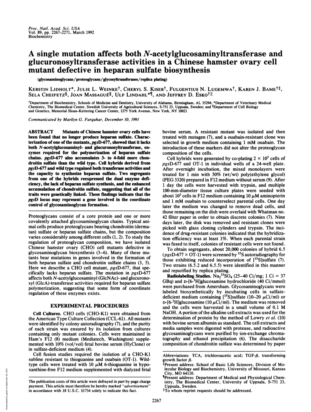 A Single Mutation Affects Both N-Acetylglucosaminyltransferase