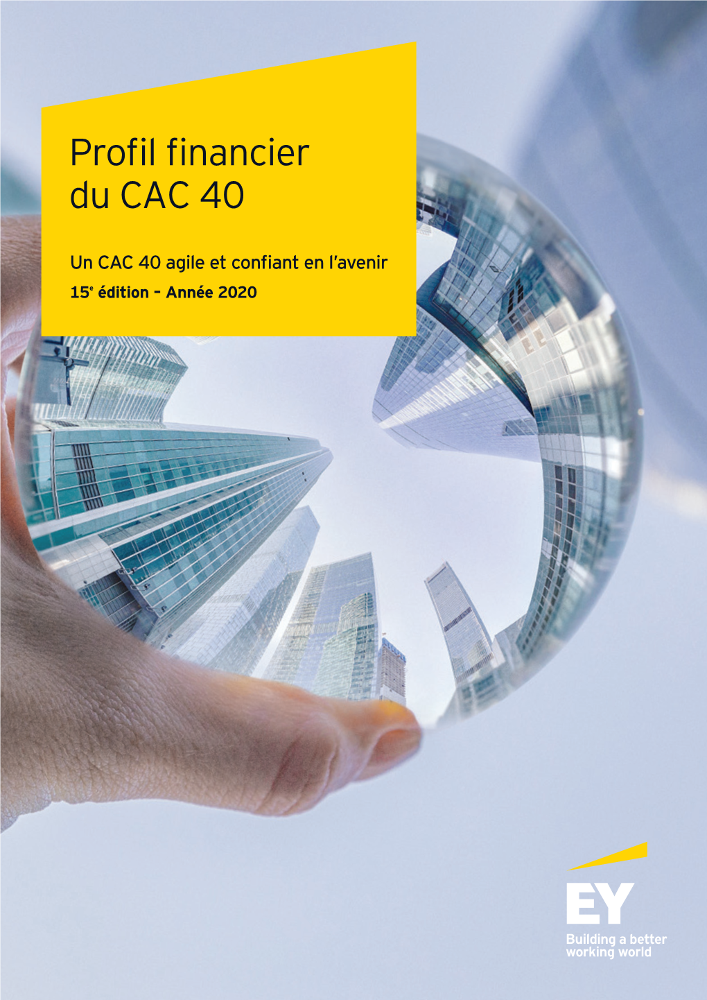 Profil Financier Du CAC 40
