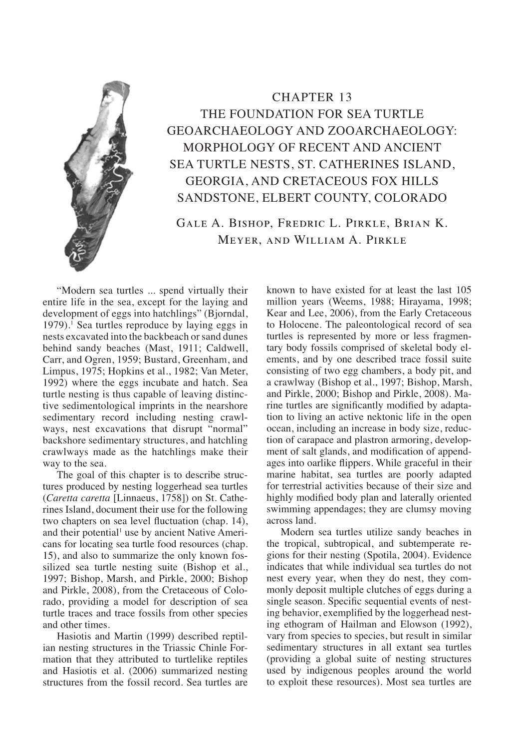 CHAPTER 13 the Foundation for Sea Turtle Geoarchaeology and Zooarchaeology: Morphology of Recent and Ancient Sea Turtle Nests, St