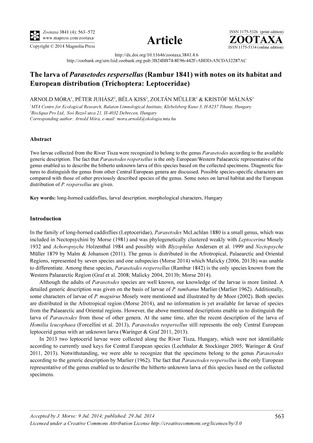 The Larva of Parasetodes Respersellus (Rambur 1841) with Notes on Its Habitat and European Distribution (Trichoptera: Leptoceridae)