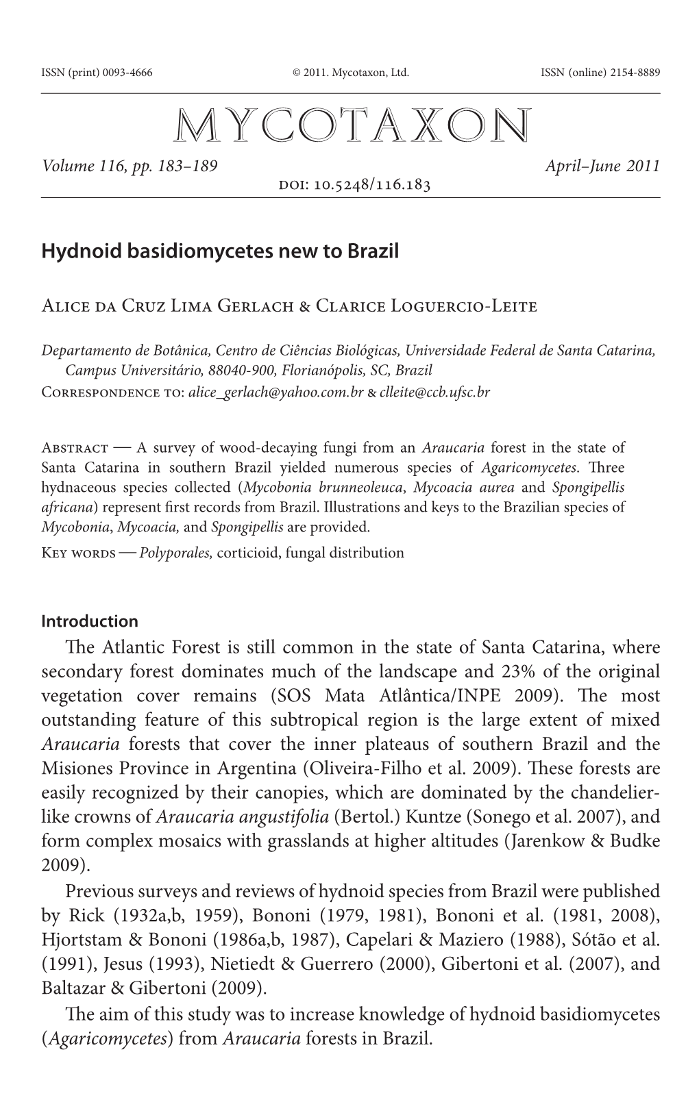 Hydnoid Basidiomycetes New to Brazil