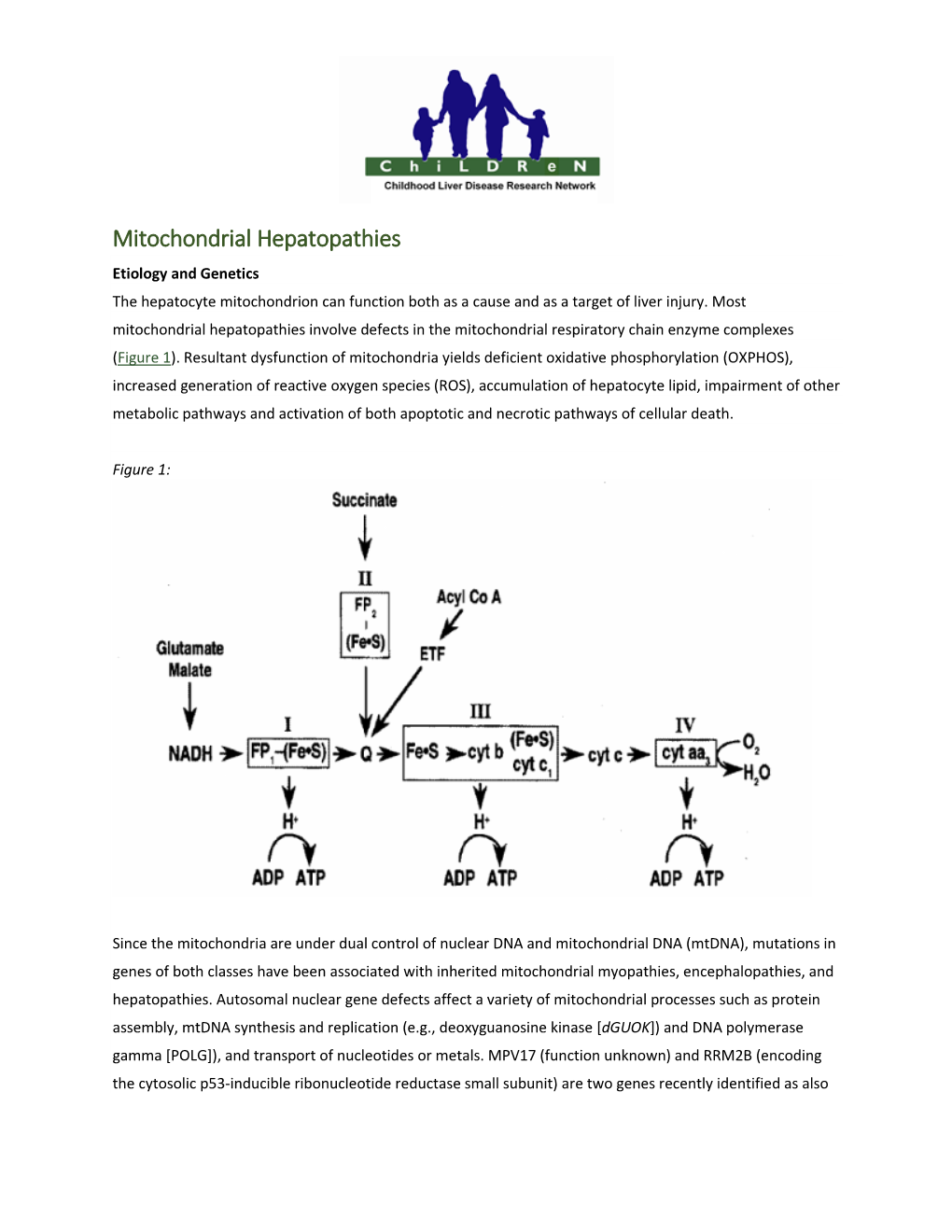 Mitochondrial Hepatopathies Etiology and Genetics the Hepatocyte Mitochondrion Can Function Both As a Cause and As a Target of Liver Injury